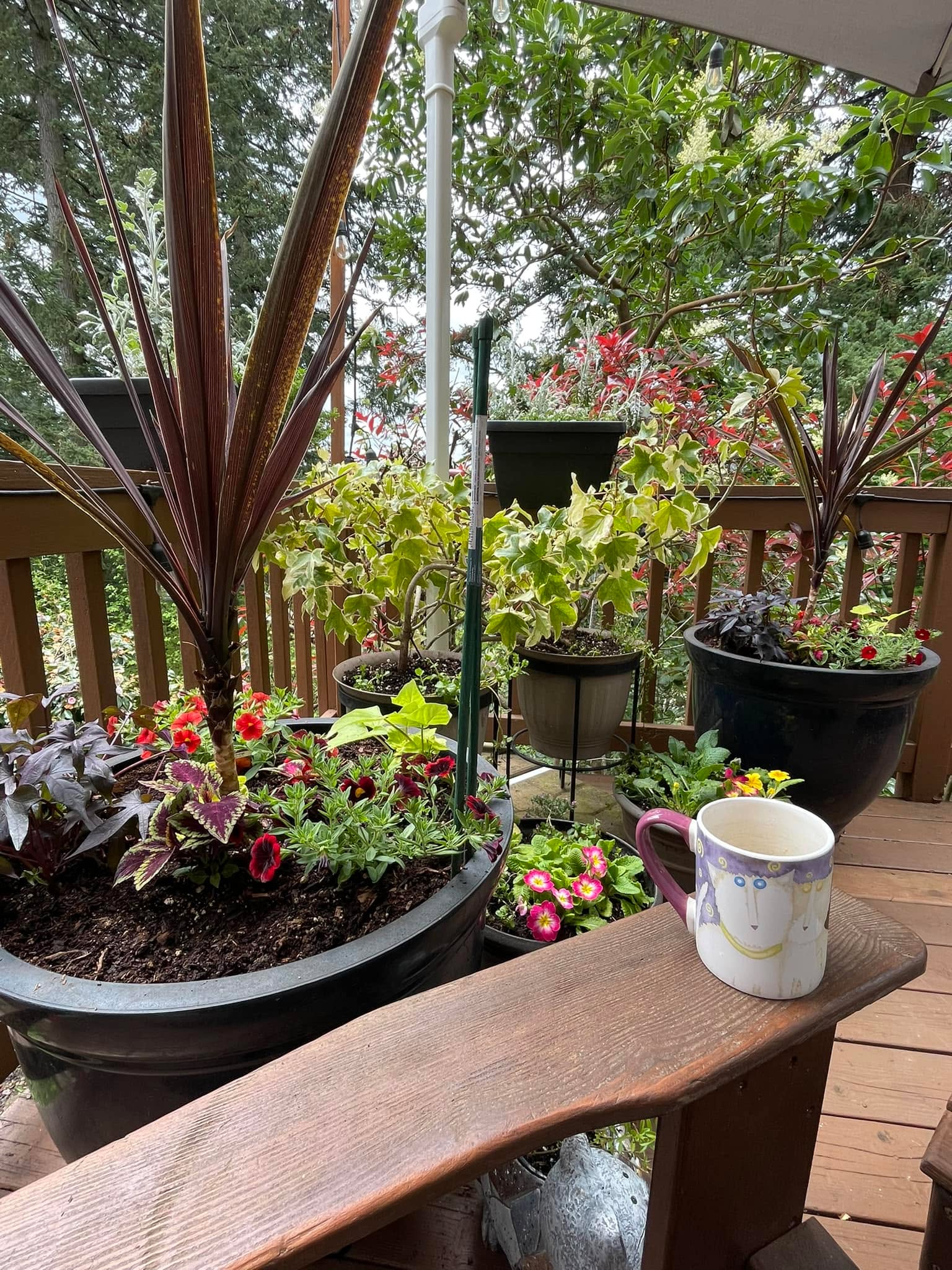 ✅ Front yard refresh finished!
✅ Deck refresh finished!
First time that I’ve finished these tasks so early. Now, more time to enjoy them