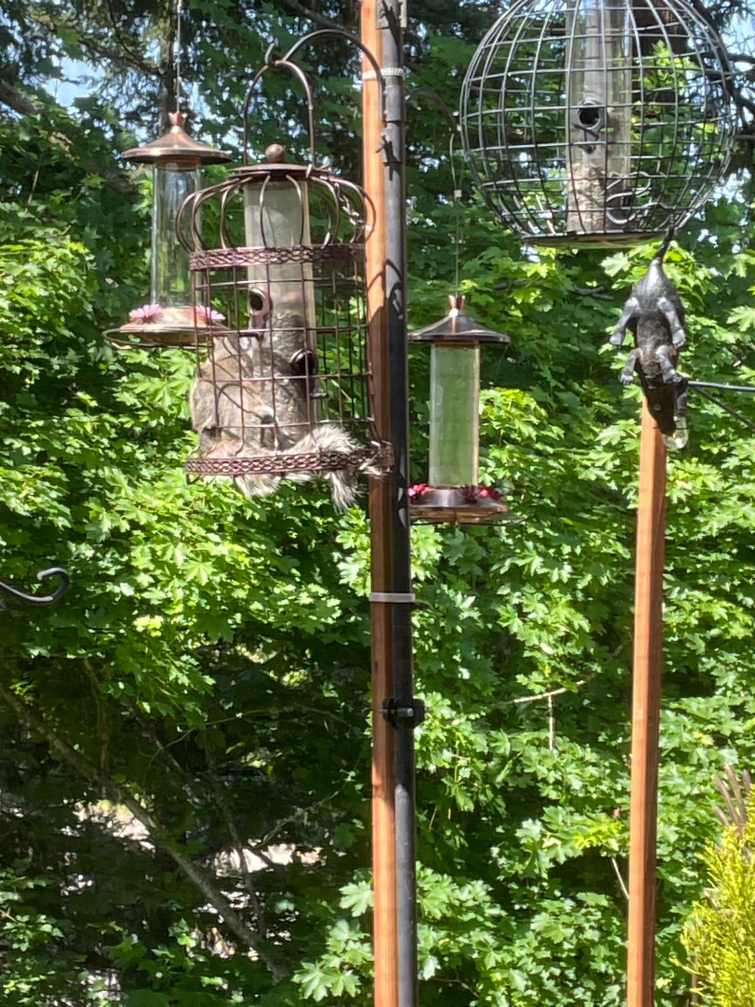 It said, “Squirrel Proof.” 🤨